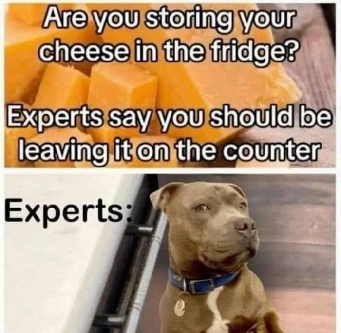 the-cheese.jpeg