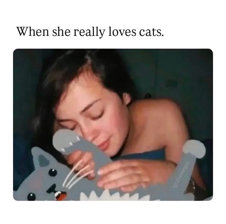 loves-cats.jpeg
