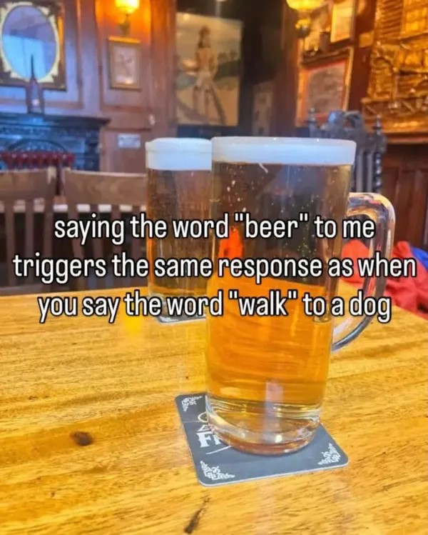 chive30.jpg