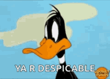image.gif