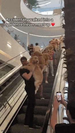 gifdump_4546_30.gif