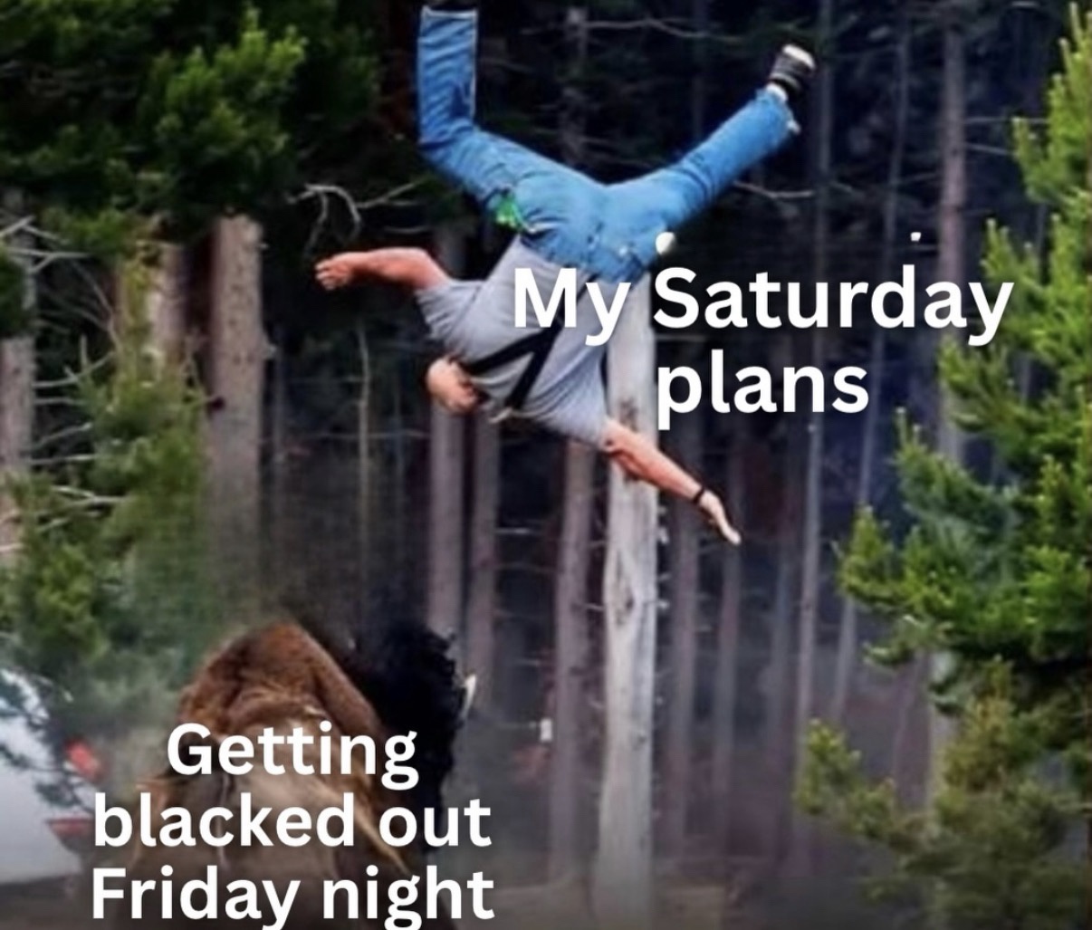 saturday.jpeg