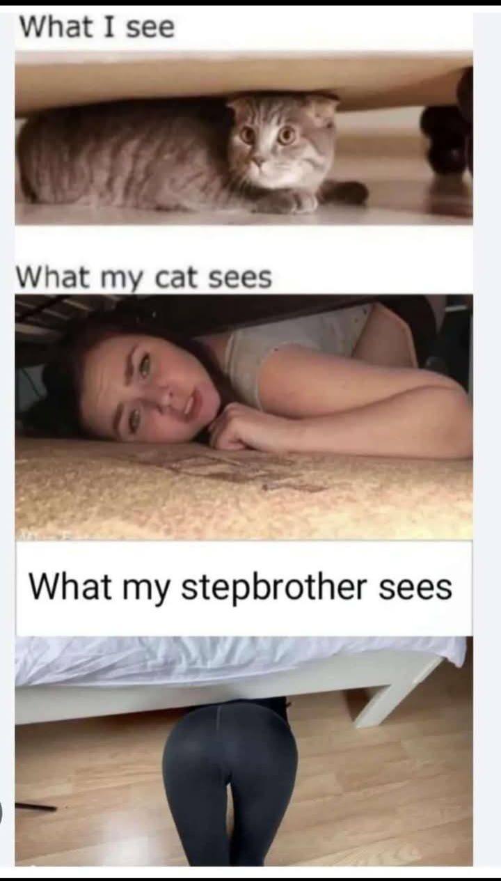 WHat-I-see.jpeg