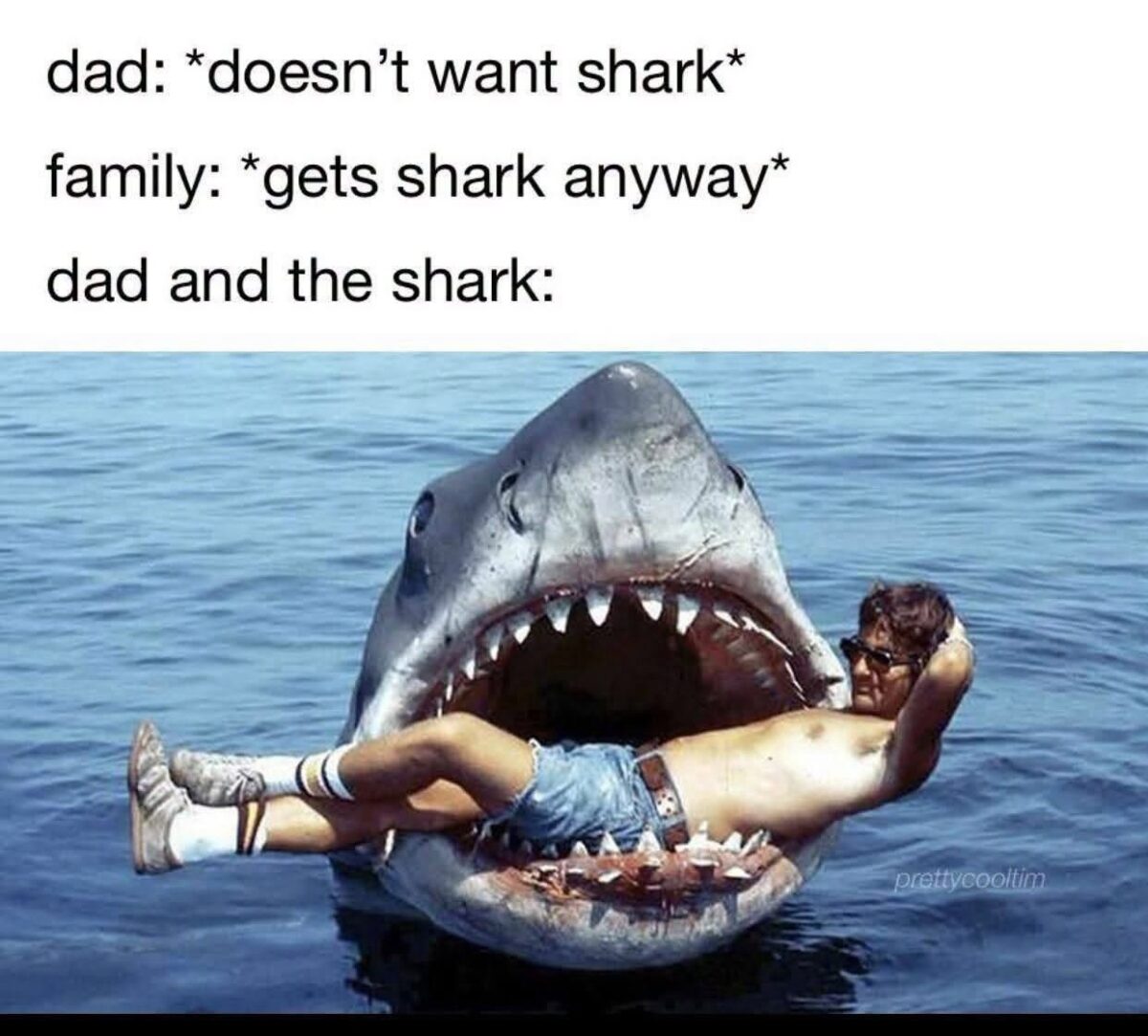 want-shark.jpeg