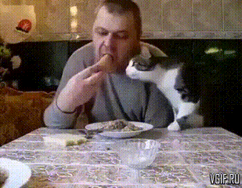 gifdump_4052_12.gif