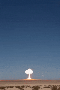 IMG_3972.gif