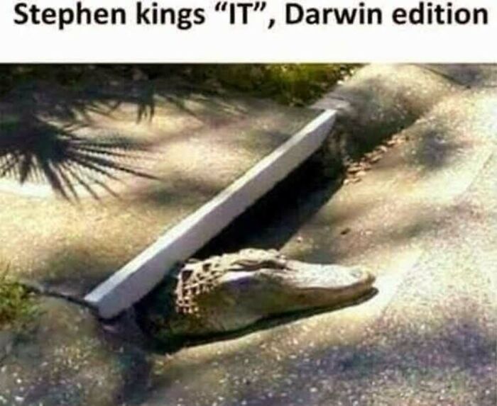 Sstephen-kings-IT.jpeg