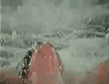 image.gif