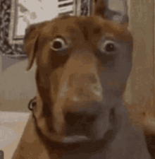 1000013499.gif