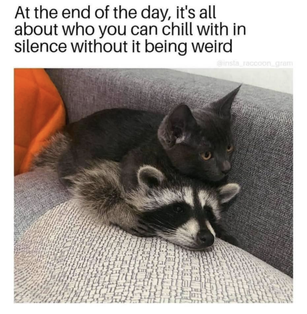 the-day.png