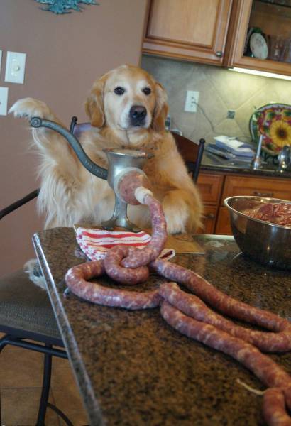 picdump_1336_39.jpg