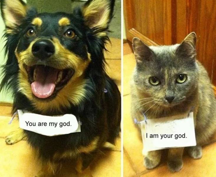 picdump_16.jpg