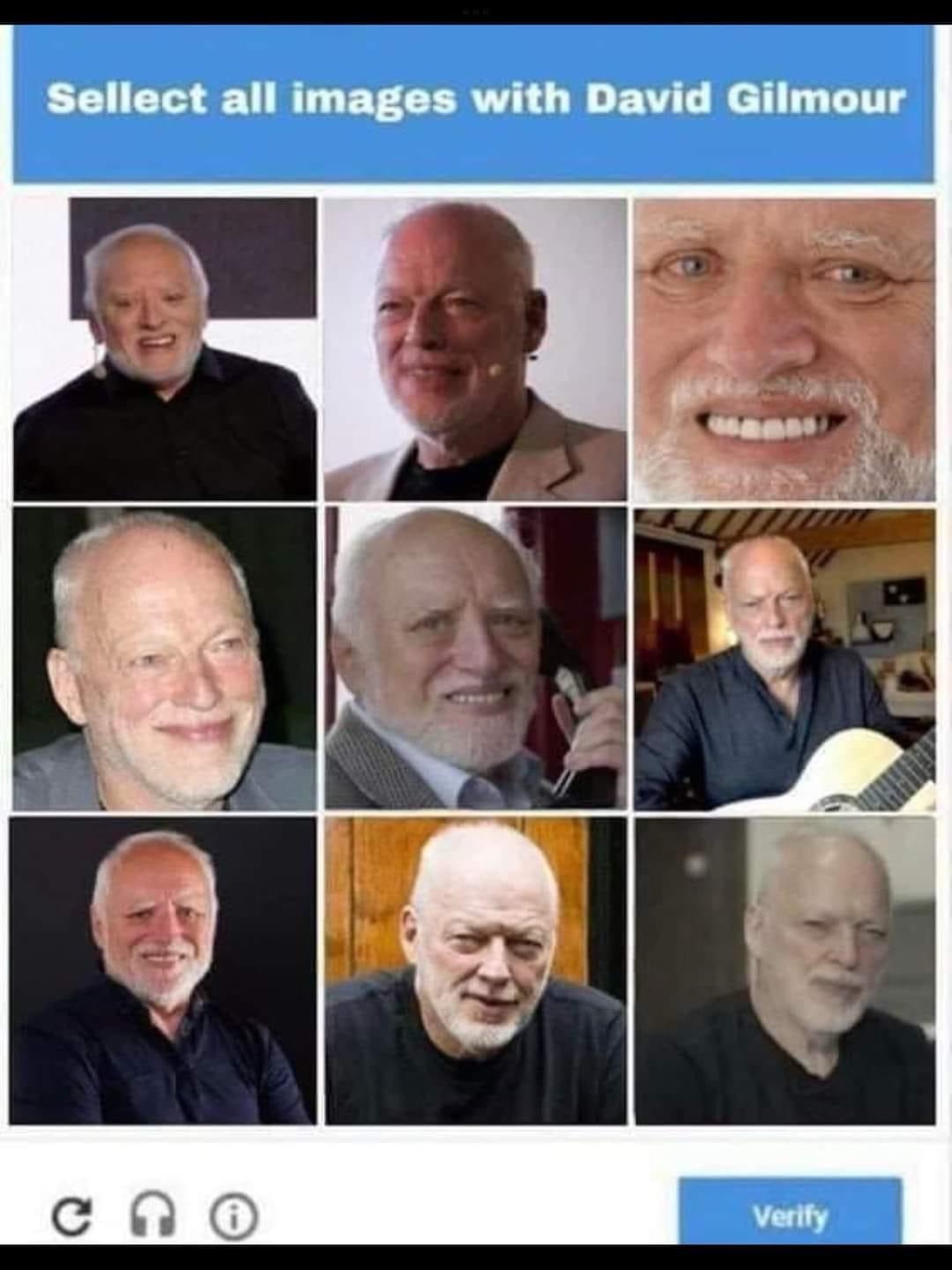 all-images.jpeg