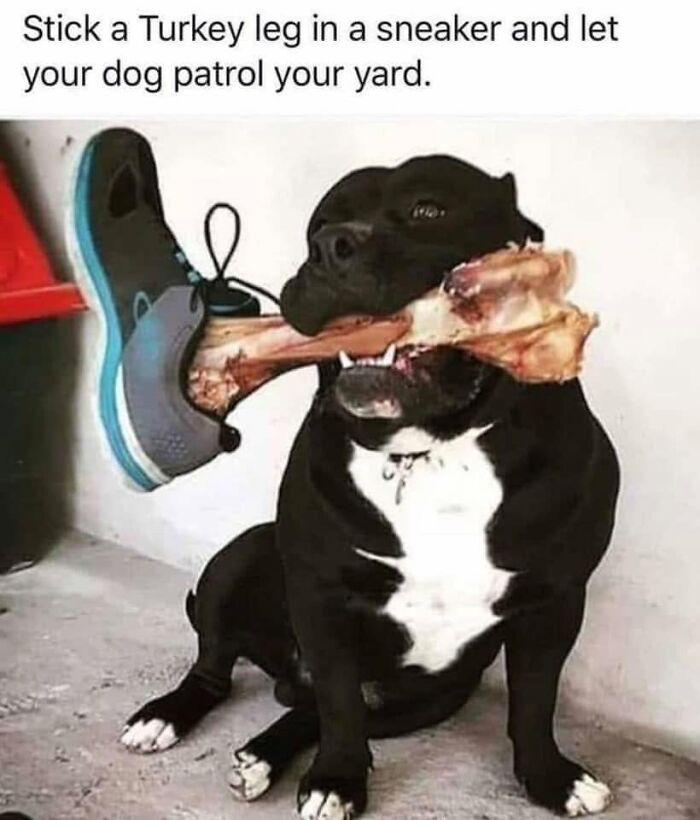 Stick-a-leg.jpeg