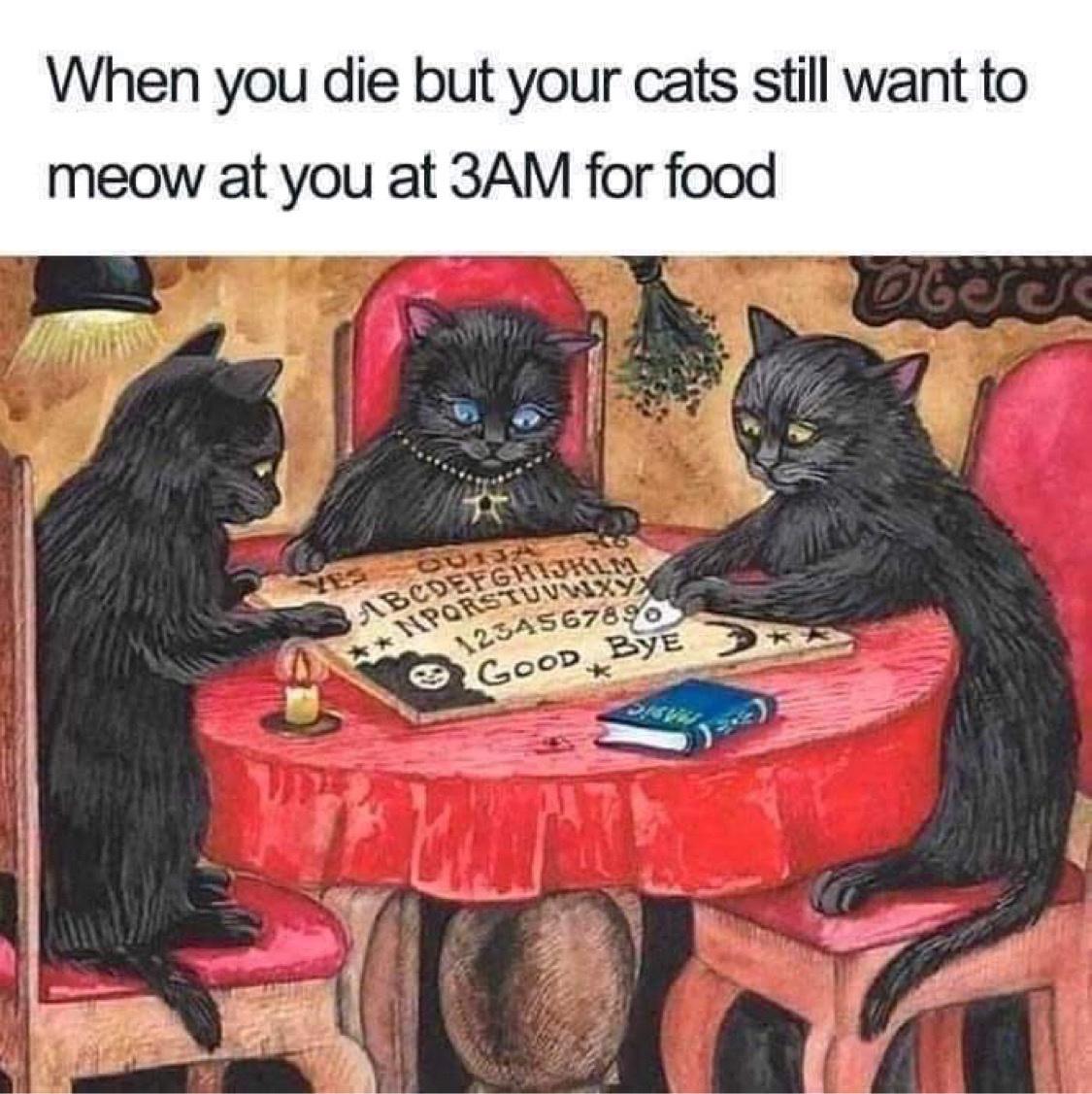 When-food.jpeg