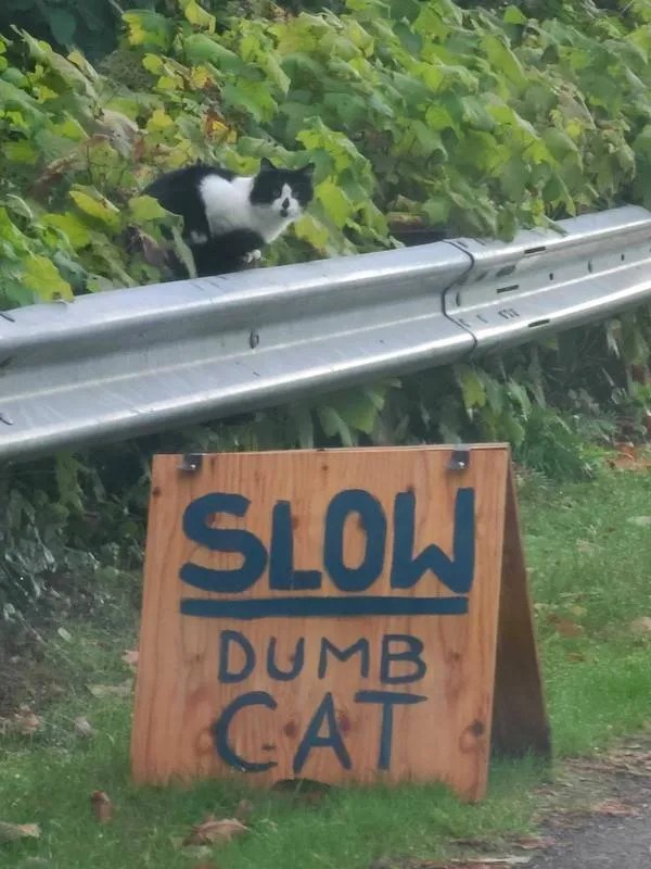 DMA_21.jpg