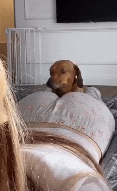 gifdump_5113_11.gif