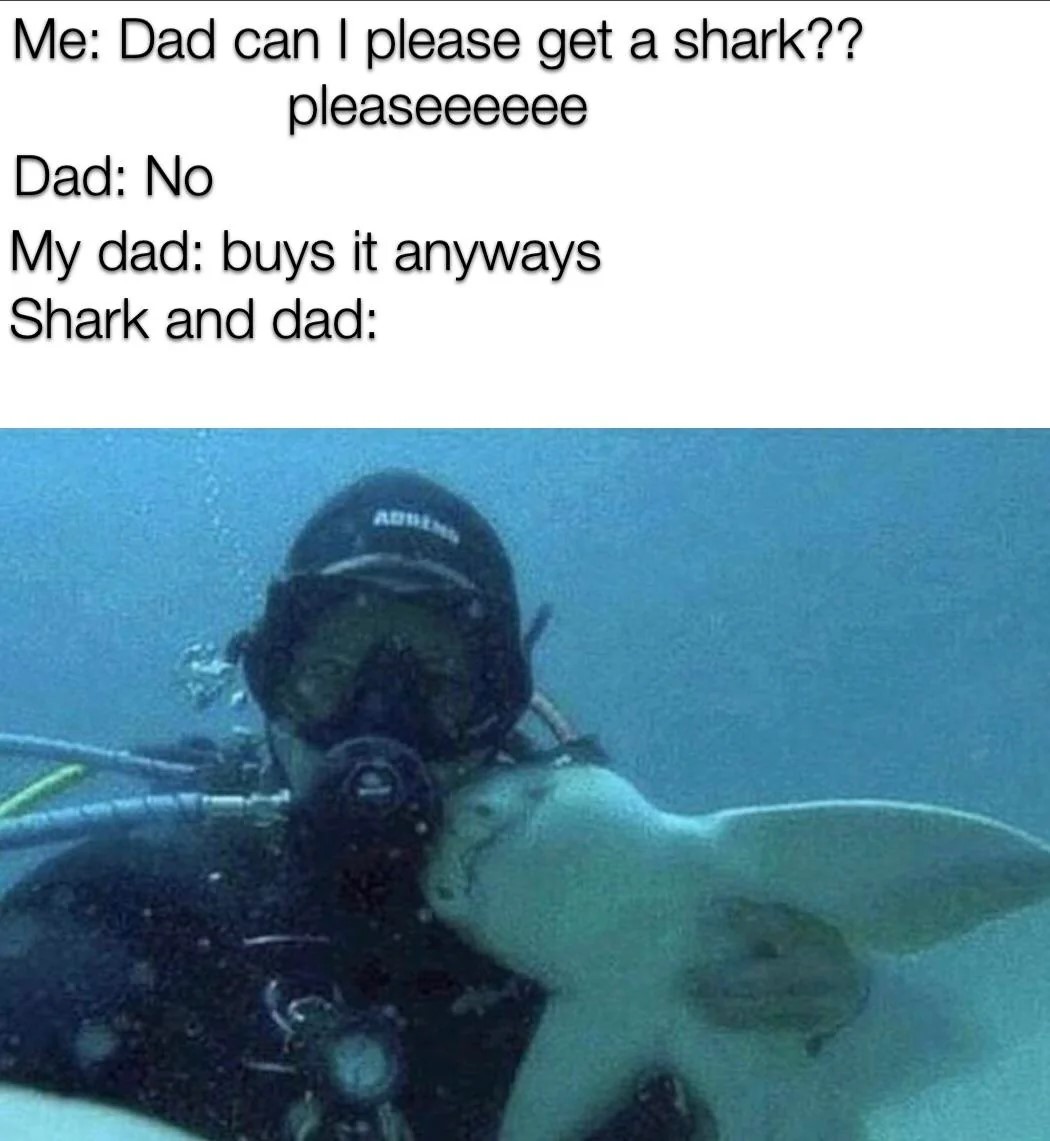 get-a-shark.jpg