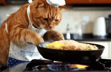 IMG_7551.gif