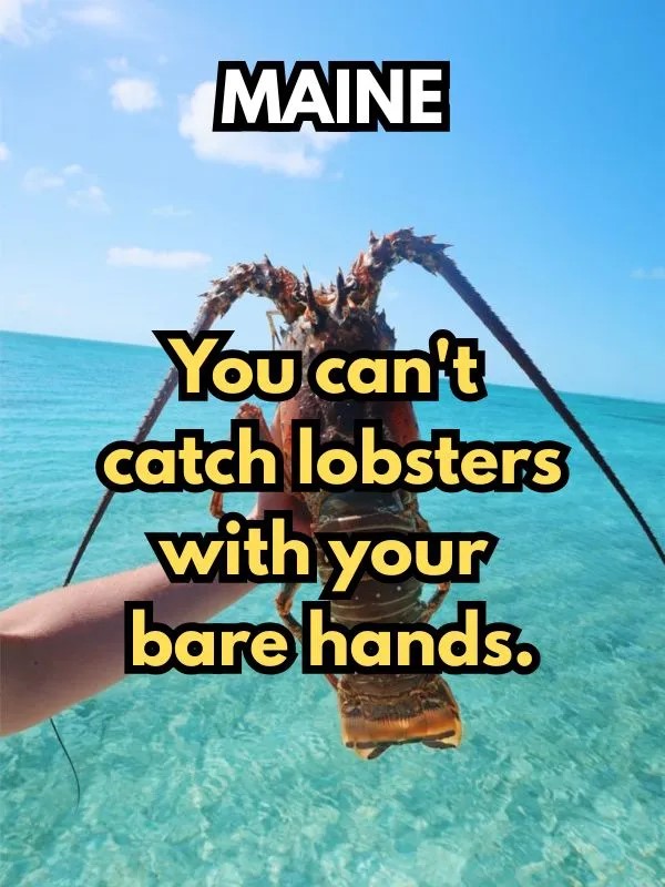 Maine.jpg