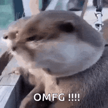 IMG_3992.gif