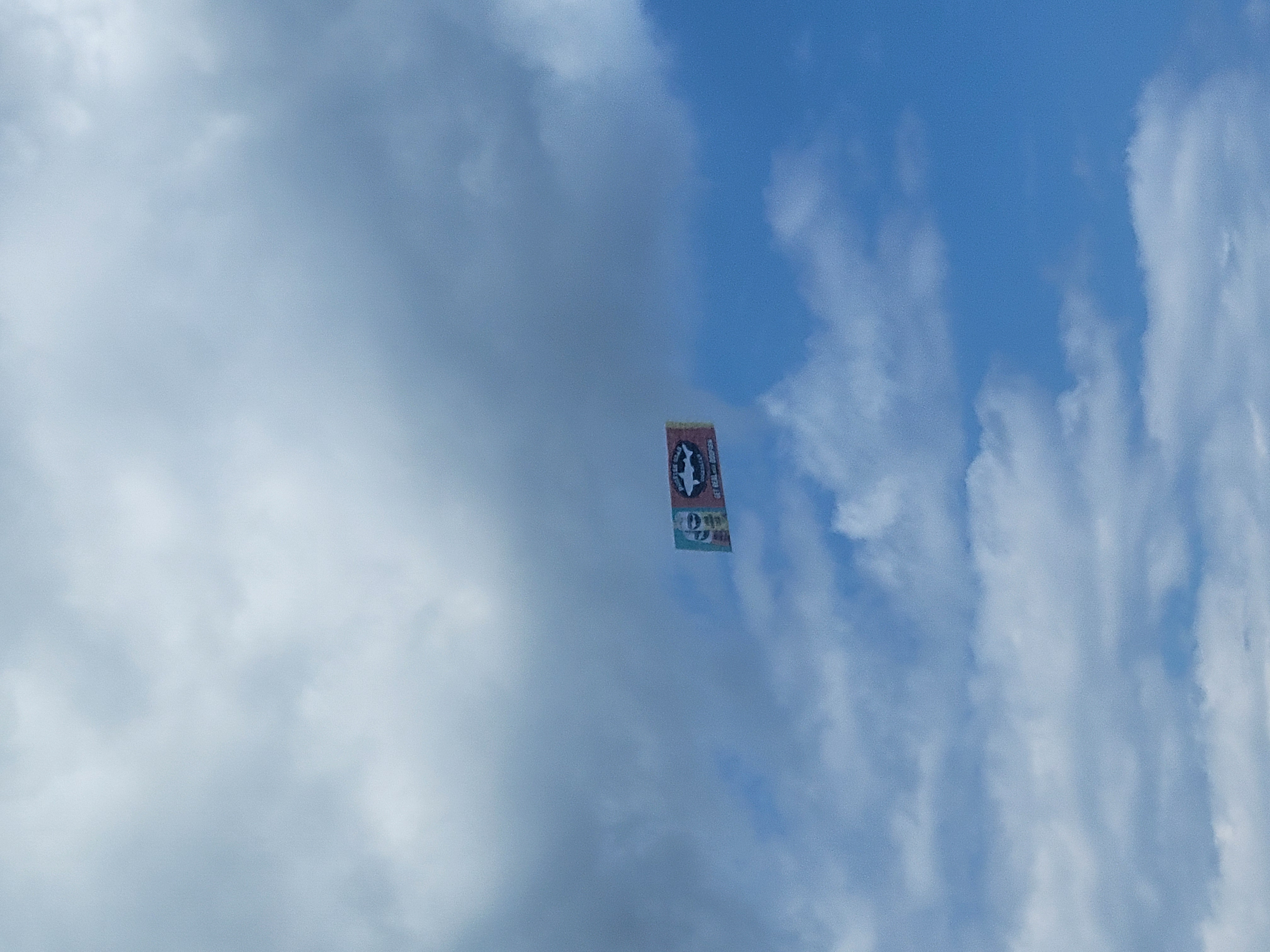 1000052446.jpg