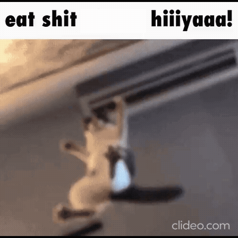 IMG_3994.gif