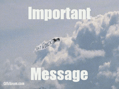 IMG_3995.gif