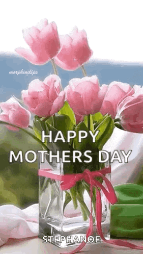 IMG_3997.gif