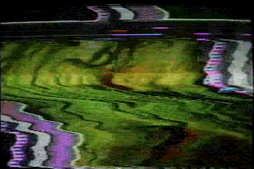 af6bb6bc53710ce38a7d468318233fcf.gif