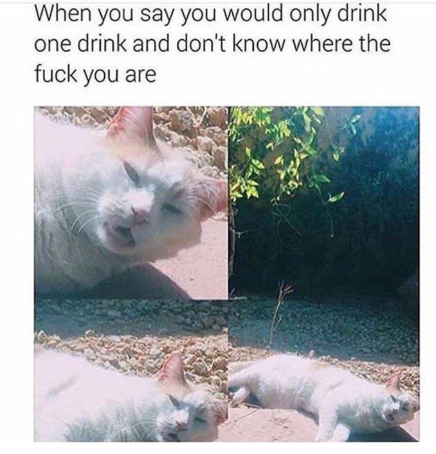 one-drink.jpeg