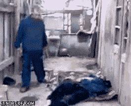 IMG_6219.gif