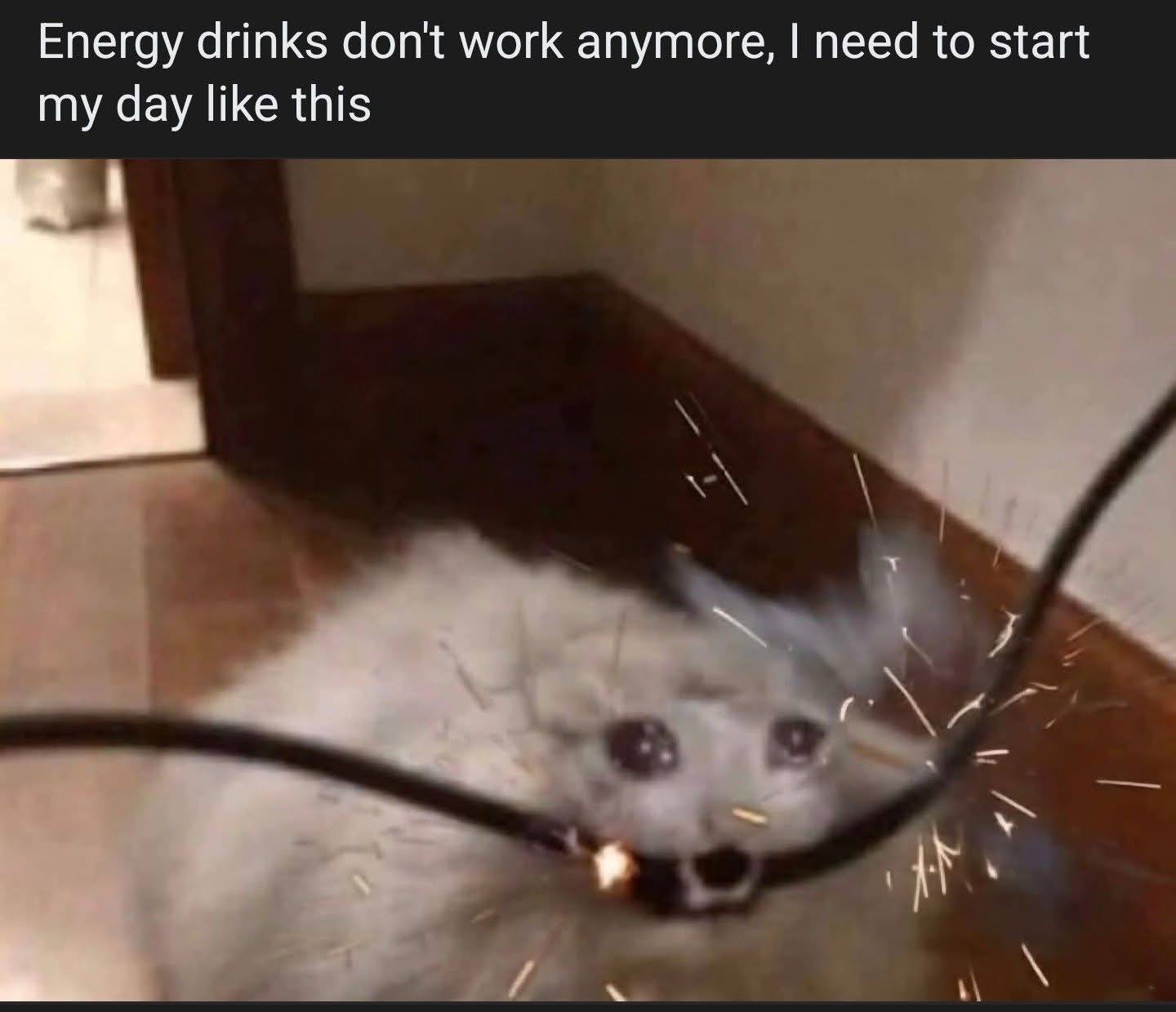 Energy-drinks.jpeg