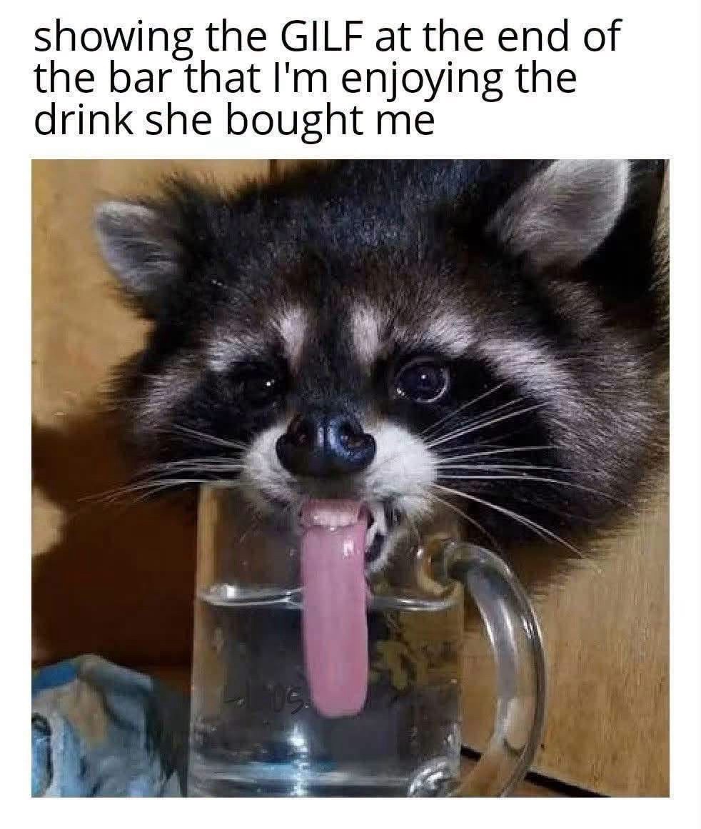 the-drink.jpeg