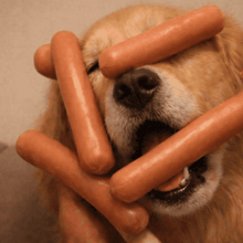 image.gif