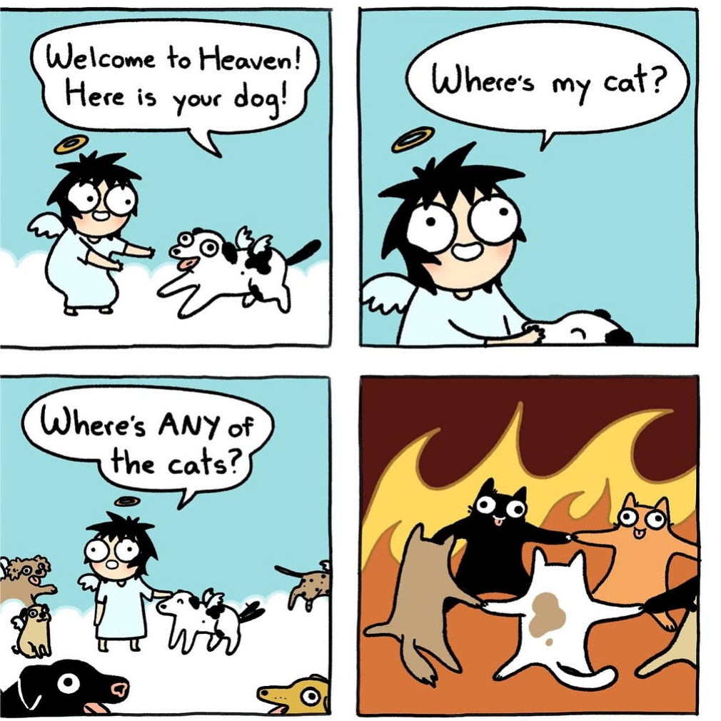 1000053153.png