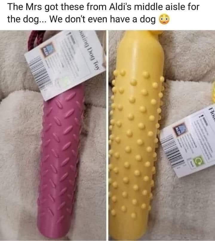 dont-have-a-dog.jpeg