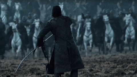 IMG_7852.gif