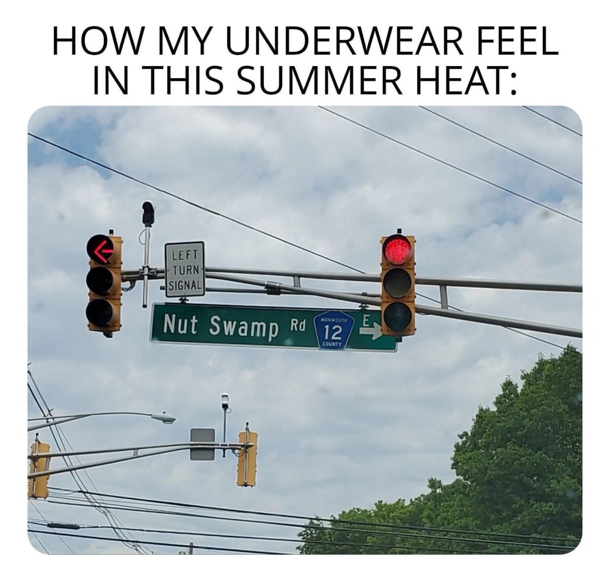 The-summer.jpeg