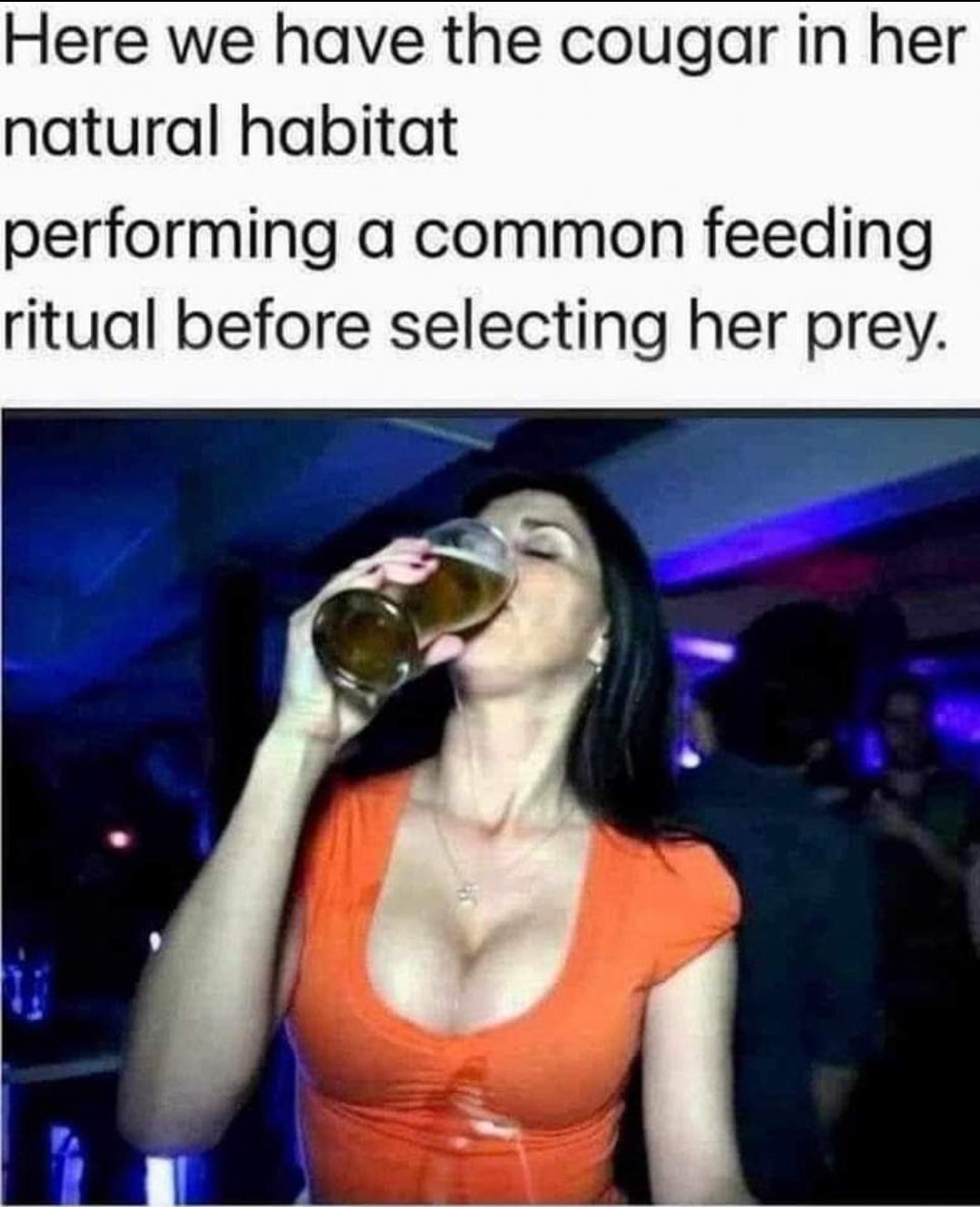 Seleting-prey.jpeg