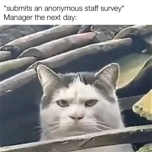 dont_07.jpg