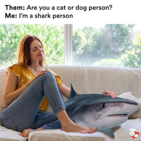 dont_30.jpg