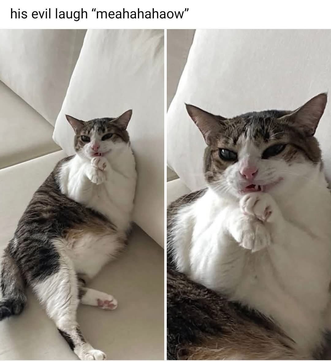 his-evil-laugh.jpeg