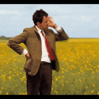 image.gif