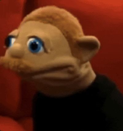 IMG_4029.gif
