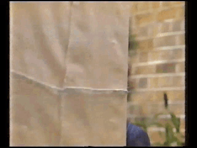 1000053728.gif