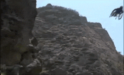 image.gif