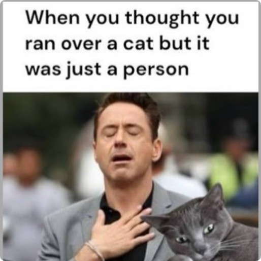 cat person.png