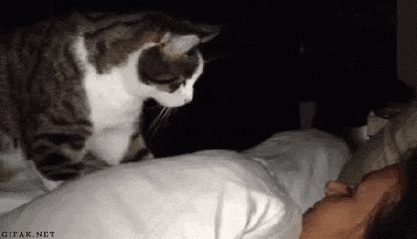 c7058.gif