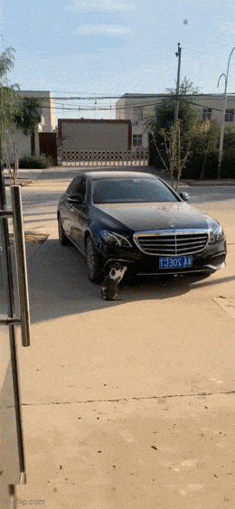 gifdump_680_10.gif